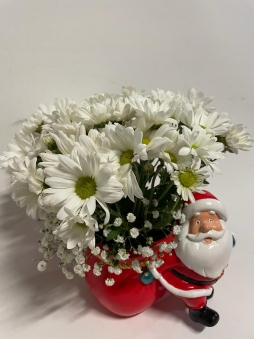 Papatya Yüklü Noel Baba