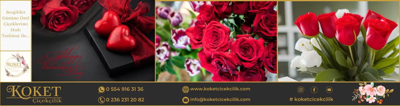 https://www.koketcicekcilik.com/