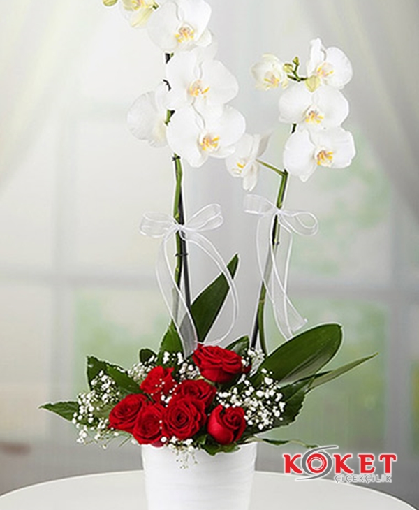 Çift Dal Beyaz Orkide & Kırmızı Gül Arajmanlı